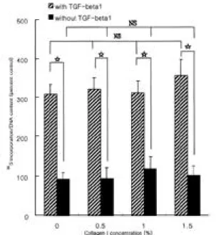 Fig. 2. The effect of type II collagen on the synthesis of proteo-