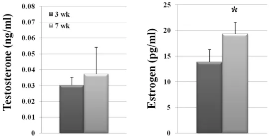 Fig.  1.  Sexual  maturation  and  steroid  hormone  level  in  female  mice.  The  levels  of  T  and  E2  were  measured  by  ECLIA  in  serum  of  3-week-old  and  7-week-old  female  mice  and  are  presented  as  mean  ±  S.D
