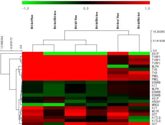 Fig.  2.  Hierarchical  clustering  analysis  of  experimental  group  contrasts  and  23  selected  genes/probes