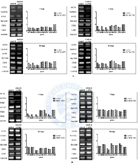 Fig  3.  Expression  of  stemness  genes  and  cancer  stem  cell  genes  in  sphere-forming  cells