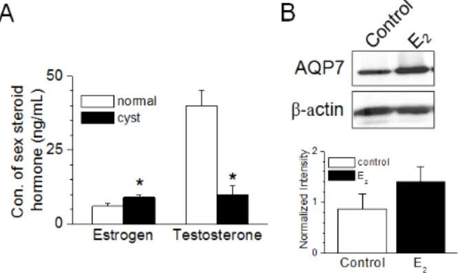 Fig.  2.  Estrogen-induced  up-regulation  in  AQP7  expression  in  ovarian  cells.  (A)  Changes  in  concentration  of  sex  ste-  roid  hormone  in  follicular  cystic  follicular  fluid