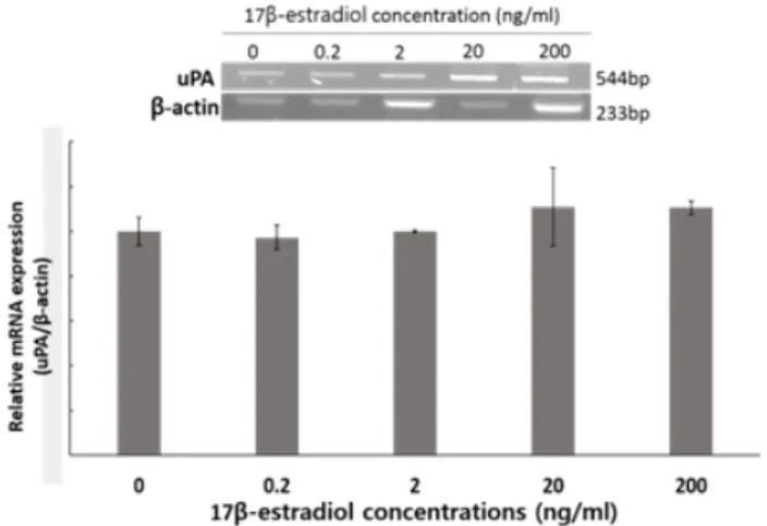Fig.  8.  Effects  of  exposure  to  different  concentration  of  17β-estradiol  (E 2 )  on  plasminogen  activators  (PAs)  activity  in  porcine  uterine  three-dimensional  culture  (p<0.05).