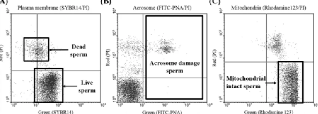 Fig.  2.  Histogram  from  flow  cytometry  for  spermatozoa  stained  with  carboxy-DCFDA