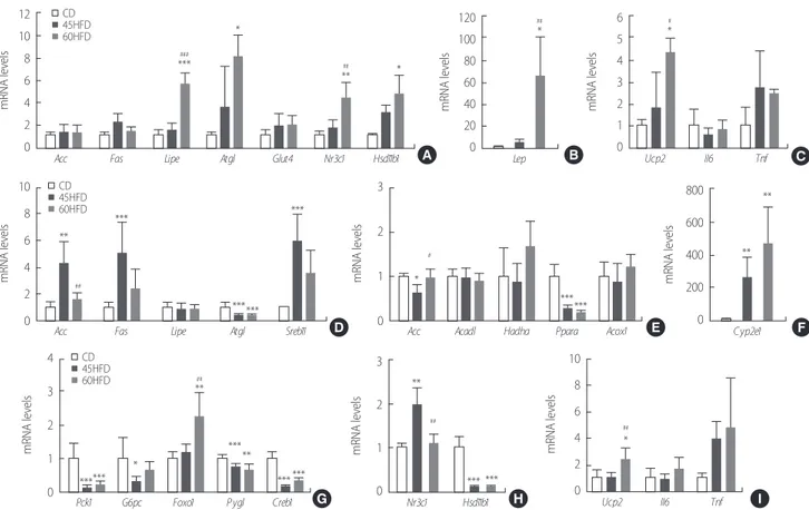 Figure 2. High fat diet alters mRNA expressions of metabolic genes in fat tissue and liver