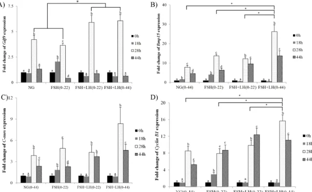 Fig.  5.  Expression  patterns  of  C-mos,  Cyclin-B1,  Bmp15  and  Gdf9  mRNA  during  pig  oocyte  in  vitro  maturation  (IVM)  by  real-time  PCR