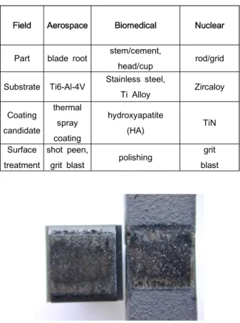 Fig.  6  Fretted  surfaces  of  a  thermal  spray  coating  containing  Cu,  Ni,  In,  and  MoS 2   for  aerospace  blades:  specimen  (right)  and  counterpart  (left)  [4]