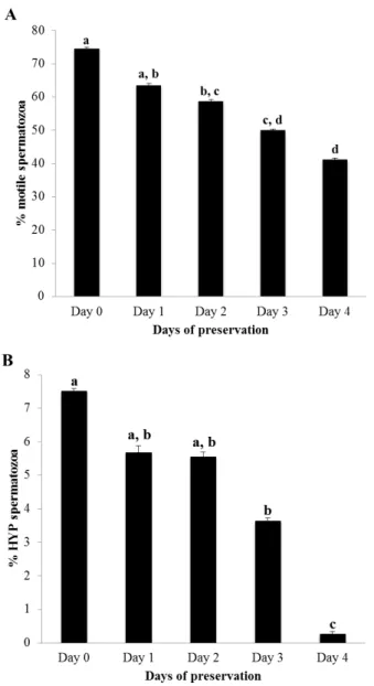 Fig.  3.  Percentage  of  morphologically  abnormal  spermatozoa  in  respect  to  preservation