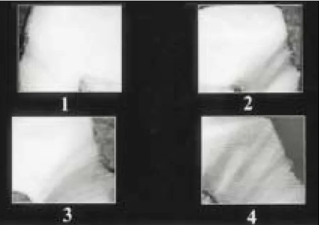 Fig. 1. Schematic drawing of section for leakage obse- obse-rvation.