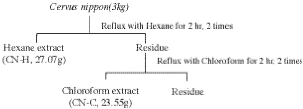 Figure 1. Schematic diagram of the extraction procedure from deer antler