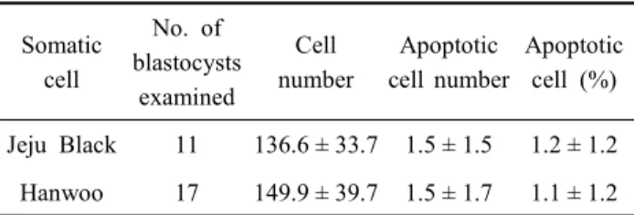 Table  4.  Comparison  of  the  cell  number  and  apoptosis  in  Jeju  Black  Cattle  and  Hanwoo  SCNT  blastocysts 