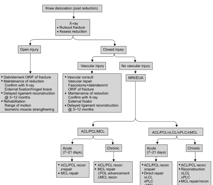 Fig. 6. Evaluation and management of the dislocated knee. ACL: anterior cruciate ligament, EUA: examination under, LCL:  lateral collateral ligament, MCL: medial collateral ligament, ORIF: open reduction and internal fixation, PCL: posterior cruciate  liga