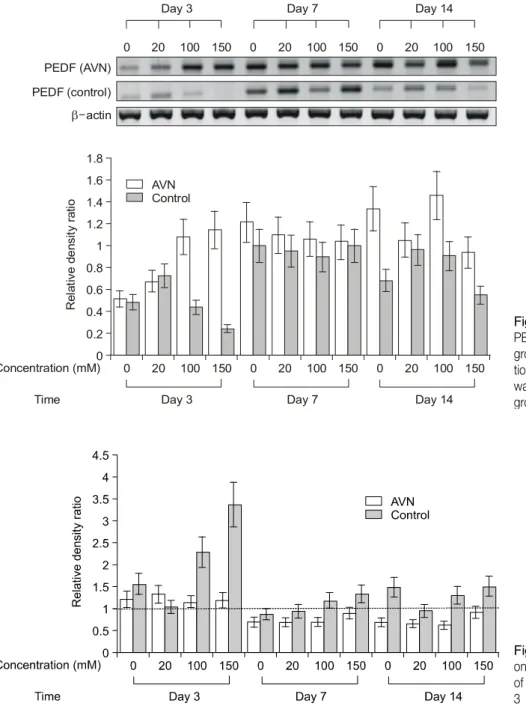 Fig. 3.  The  expression  level  of  PEDF  mRNA  in  the  osteonecrosis  group  exposed  to  high   concentra-tions of  alcohol (100 mM, 150 mM) was  higher  than  that  of  the  control  group  at  day  3  (p＜0.05).