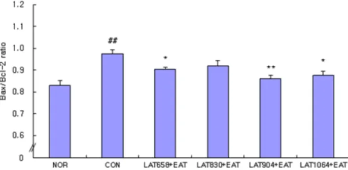 Fig. 7. Effects of laser for each wavelength and electroacupuncture  at acupoint GB34․GB39 on the Bax/Bcl-2 ratio in the central gray  of brain of neuropathic pain rats induced by tibial and sural nerve  transection.