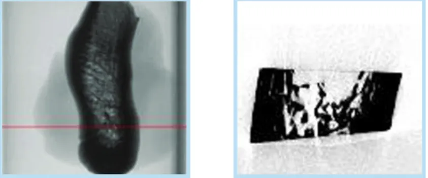 그림 1.  2가지 종류의 골 표본과 각각의 단면 영상 (a) A type of condyle and its cross-sectional image