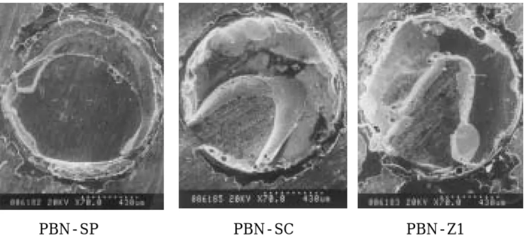 Fig. 7. SEM observations of fracture site of Prime and Bond NT group. 