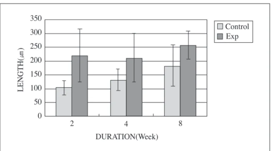 Figure 3. Histomorphometric analysis of newly formed bone length in the control and experimental groups 