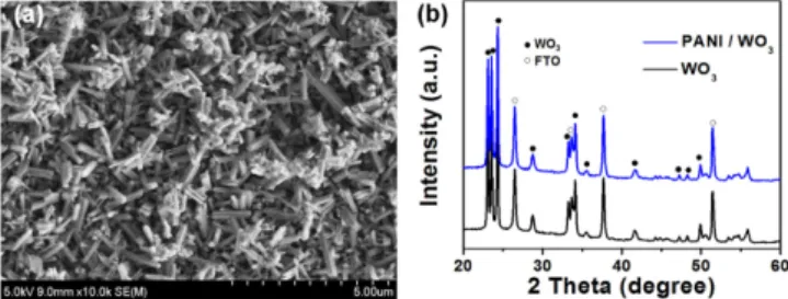 Fig. 1. (a) SEM image of prepared WO 3  electrode. (b) X-ray diffrac- diffrac-tion (XRD) patterns of PANI/WO 3  (passed charge (Q) = 1 mAh) and WO 3  electrode