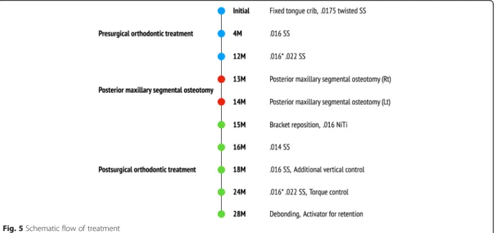 Fig. 5 Schematic flow of treatment
