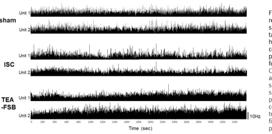 Fig.  6.  Bar  histogram  depicting  changes  in  firing  rate  of  putative pyramidal  neurons  of  3  experimental  groups
