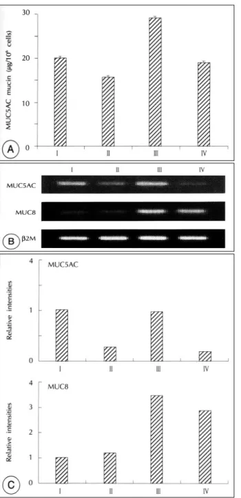 Fig. 2. Effects of IL-4 alone, the deletion of IL-4 from the mi- xture of inflammatory mediators, and treatment with the  mi-xture of inflammatory mediators on MUC5AC mRNA and mucin secretion in cultured normal human nasal epithelial cells