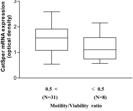 그림  3.  CatSper  mRNA  발현양과  Motility/Viability  ratio간의  상관성  비교.  실제  살아있는  정자만을  대상으로  비교하기  위하여  Motility/Viability  ratio  0.5를  기준으 로  두  군으로  나누어  비교해  보았을  때,  0.5  초과인  군  (n=31)의  CatSper  mRNA  평균  발현값은  1.5±0.6이고,  0.5  이하인  군  (n=8)은  1.2±0.6으