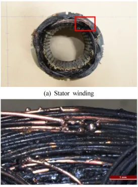 Figure 12. Fire process under locked-rotor condition of single-  phase induction motor.