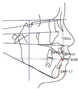 Figure 6. Dental linear measurements 