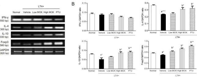 Fig.  3.  Effects  of  MOK  pharmacopuncture  on  the  expression  of  IFN-γ,  IL-4,  IL-10,  and  Foxp3  mRNA  in  primary  spleenocytes  of  LT4-induced  hyperthyroidic  rats.