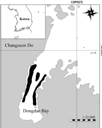 Fig.  1.  Location  of  study  area  (the  black  area:  seagrass  bed)