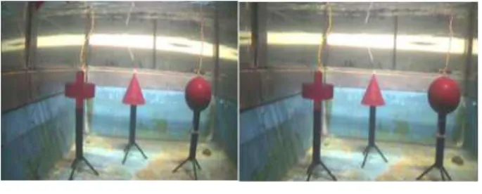 Fig. 1. A distorted image(left) and the corresponding undistorted image.