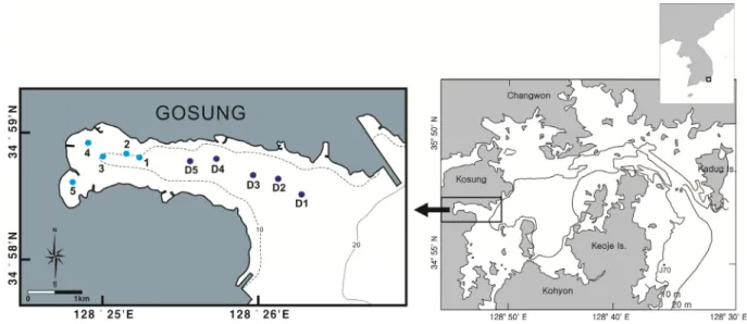Fig.  1.  A  map  showing  the  sampling  stations  and  bathymetry  in  Dangdong  Bay