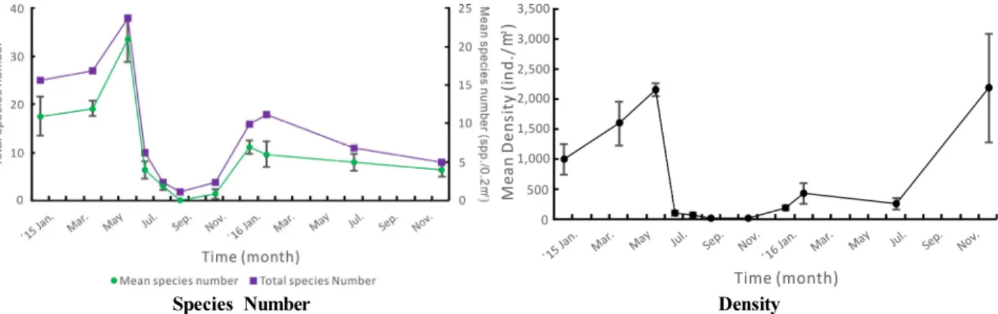 Fig.  4.  Temporal  variations  of  species  number  and  density  of  benthic  polychaetous  community  in  Dangdong  Bay