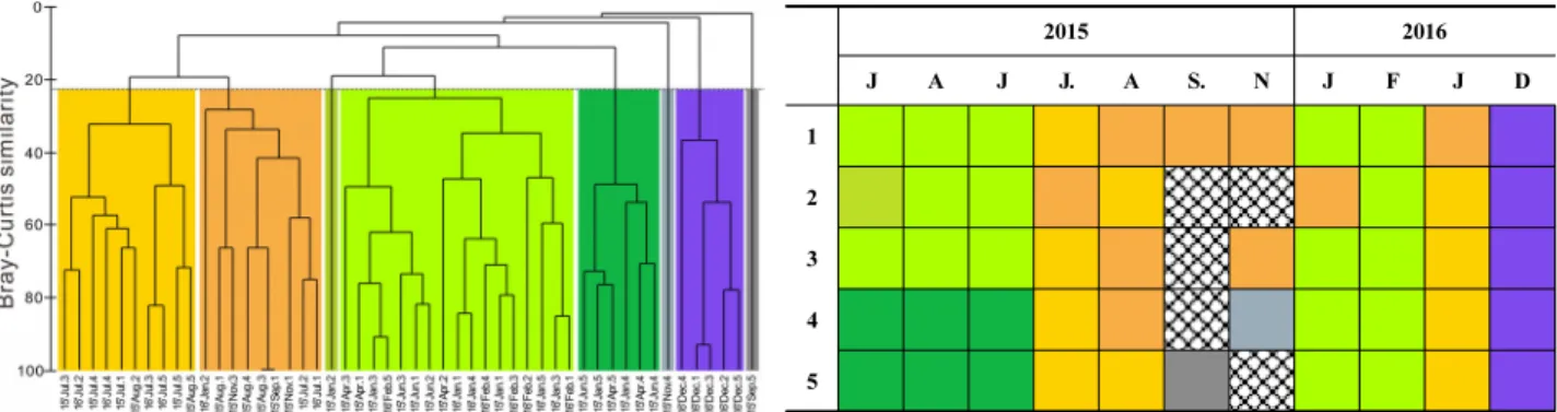 Fig  7.  Dendrogram  and  table  of  sampling  site  from  cluster  analysis  based  on  the  Bray-Curtis  similarity  based  on  the  benthic  polychaetes  data  of  Dangdong  Bay