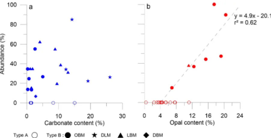 Fig.  6.  An  example  for  decomposition  of  the  bimodal  opal-  fraction  grain-size  distribution  of  the  sample  15  by  the  curve-fitting  method  using  CFLab