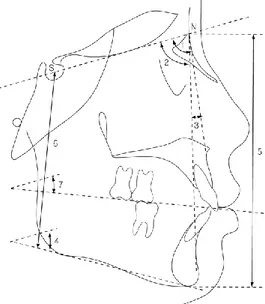 Fig 3. Skeletal measurements 