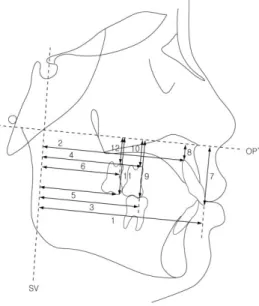 Fig 4. Dental measurements (linear) 