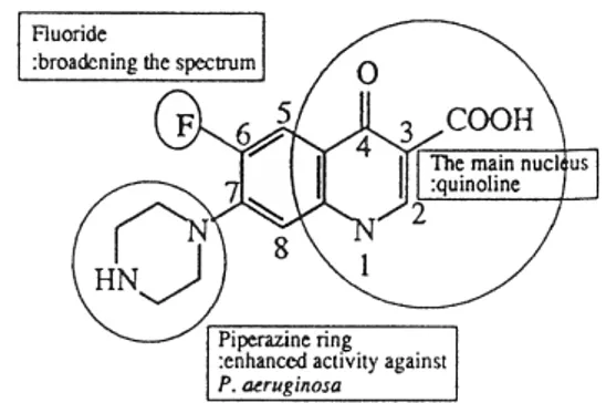 Fig.  1.  Quinolone의 기본구조. Fig.  2.  Fluoroquinolone(FQ)의  구조에  따른  기능.Quinolone은  여타  항생제들과  달리  자연에서  추