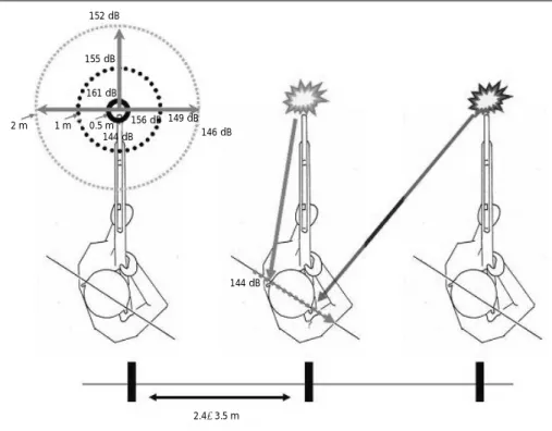 Fig. 4. Lateralization of symptom