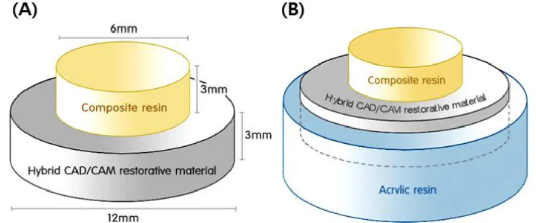 Figure  2.  Schematic  diagram  of  experimental  specimen.  (A)  bonding  composite  resin  and  CAD/CAM  specimen  and  (B)  mounted  to  acrylic  resin  for  fixing  shear  bond  strength  test  zig.