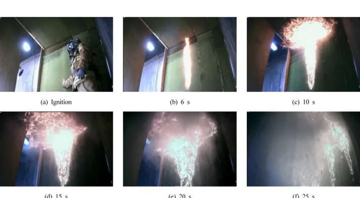Figure 3. Combustion experiment of sound absorbing material (cam 1).