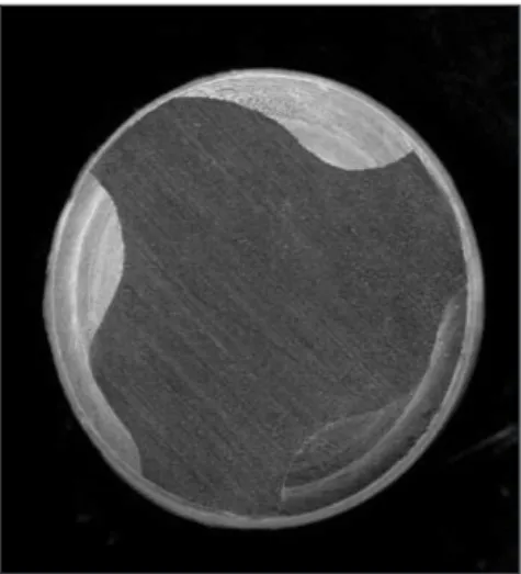 Figure 7. Cross-sectional  electronic  microscopic  pho- pho-tograph of Hero Shaper �