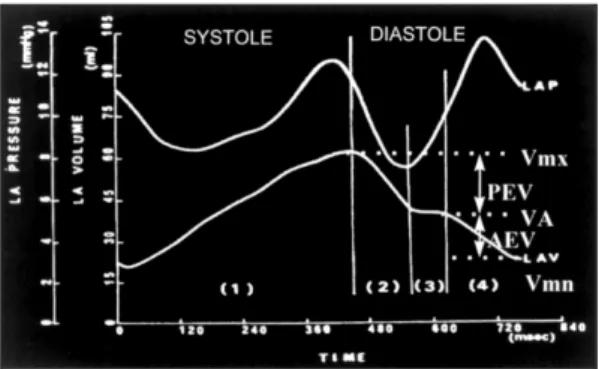 Fig. 3. Instantaneous changes of left atrial pressure (LAP) and left atrial volume (LAV) during single  car-diac cycle