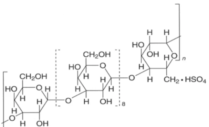 Figure 2.  molecular structure of dental agar. n=about 90, or for den-