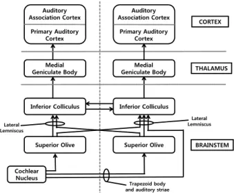 Figure 3. Schematic depiction of the ascending central auditory 