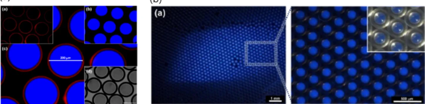 Fig. 6. Microscopic images of the (a) double emulsion and [20] and (b) triple emulsion TTA-UC micro-capsules prepared by microfluidics [22].