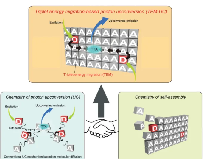 Fig. 8. Schematic of the concept of triplet energy migration-based upconversion (TEM-UC) [41].