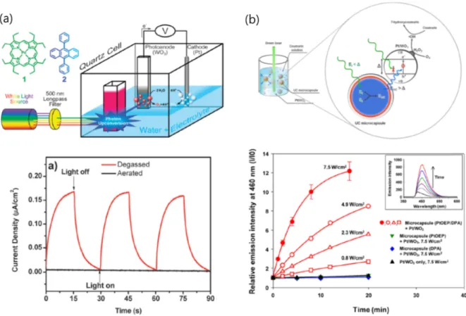 Fig. 11. Schematic of UC-assisted photovoltaics [46,51].