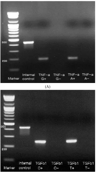 Fig. 1.Fig. 1.Fig. 1.