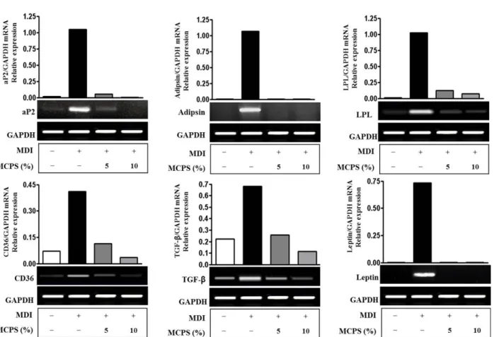 Fig.  7.  Effects  of  MCPS  on  the  Ex- Ex-pression  of  LXRα and  FAS  in  mRNA Level.