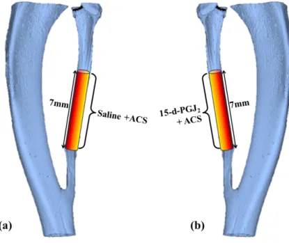 Figure 3. Experiment design. a) Left control site. b) Right experimental site 